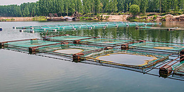 ���g����